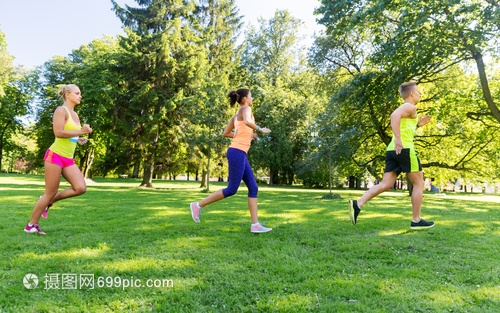 夏季公園馬拉松 運動、健康與快樂的交匯點